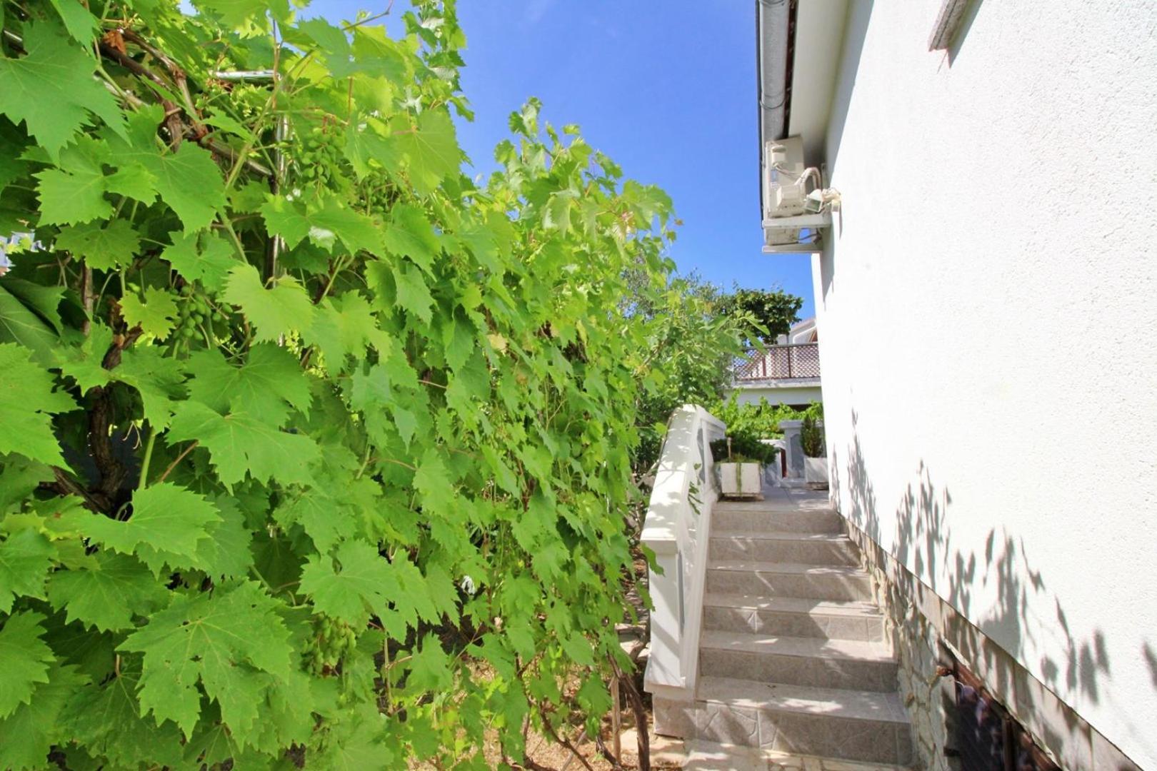 Apartments Zlatica Šilo Εξωτερικό φωτογραφία